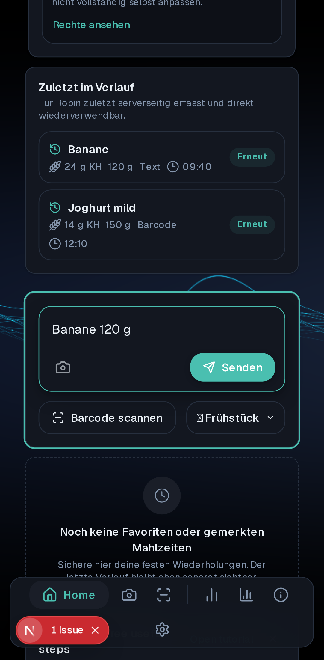 Startseite mit Eingabefeld und erstem Lookup